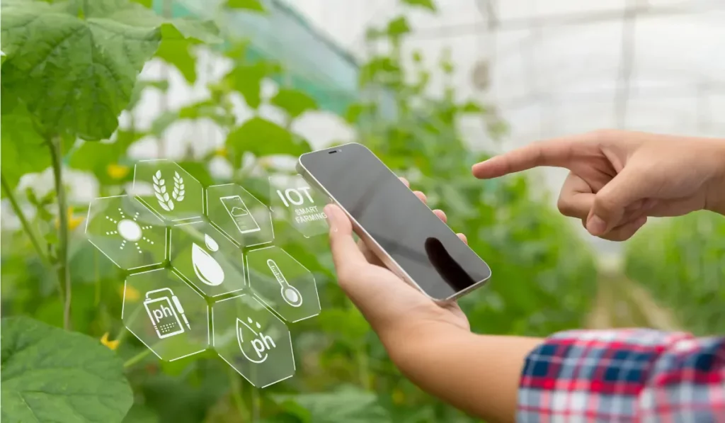 Inovasi teknologi terkini dan tercanggih di dunia - Internet of Things (IOT) Pertanian