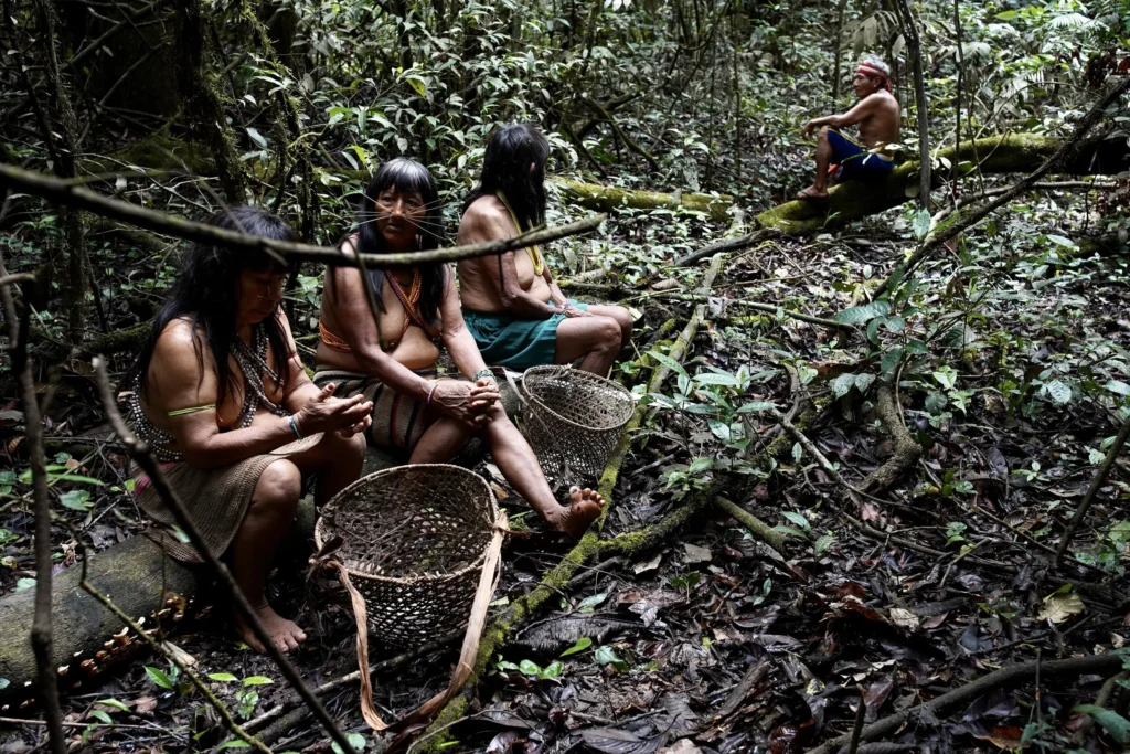 Belantara Hutan Amazon Amerika Selatan: Suku Asli Hutan Amazon - Suku Matses