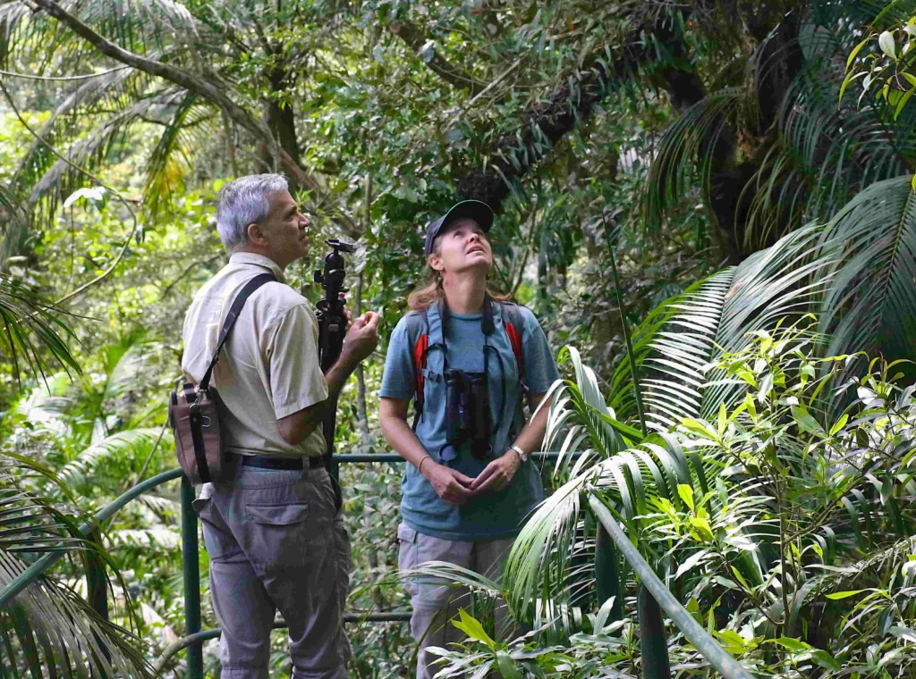 Upaya Pelestarian dan Pengelolaan Belantara Hutan Amazon Amerika Selatan