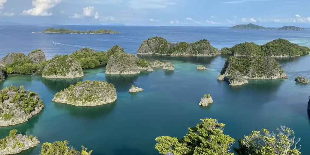 Destinasi Wisata Alam di Indonesia yang Wajib Dikunjungi: Raja Ampat