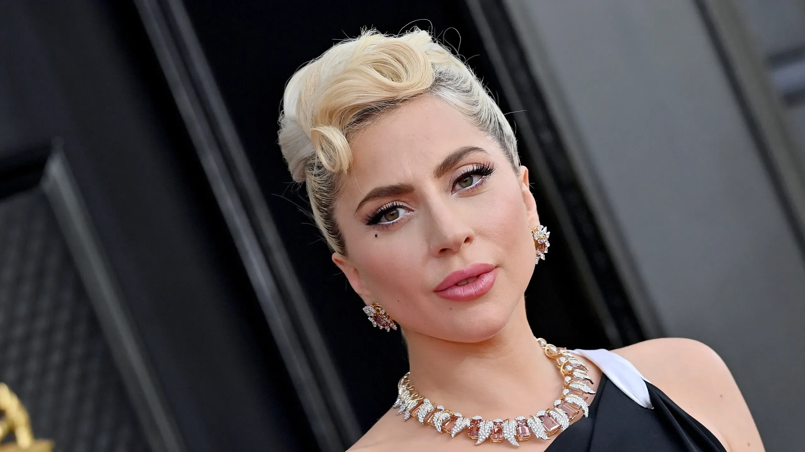 Artis Sukses di Luar Industri Hiburan: Lady Gaga 