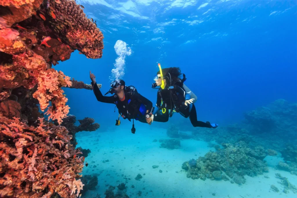 Destinasi Wisata Terindah yang Jarang Diketahui: Bonaire, Karibia